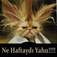 NurhancaŞeyler