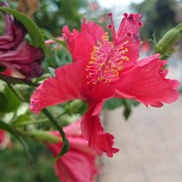 LựcVũTiến